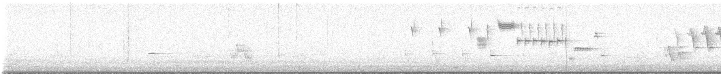 גיבתונית רוננת - ML620052877