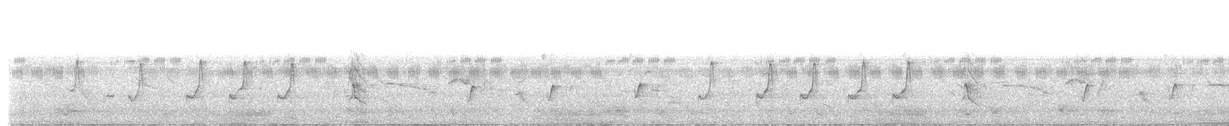 Long-tailed Shrike - ML620052959