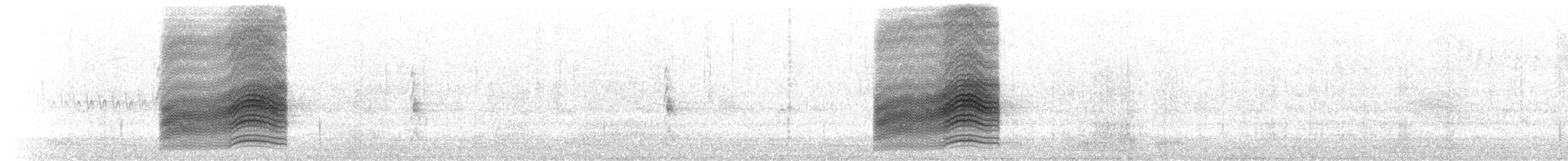 Тауї плямистий - ML620053271