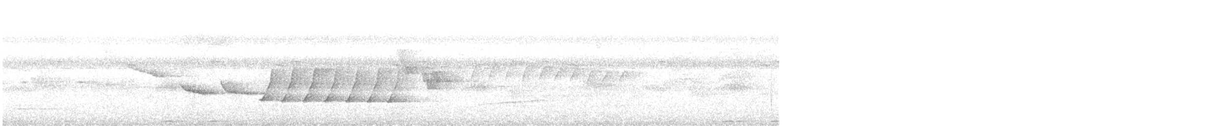 Şerit Karınlı Çıtkuşu - ML620054568