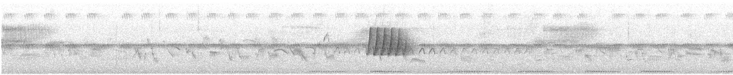 Turteltaube - ML620054608