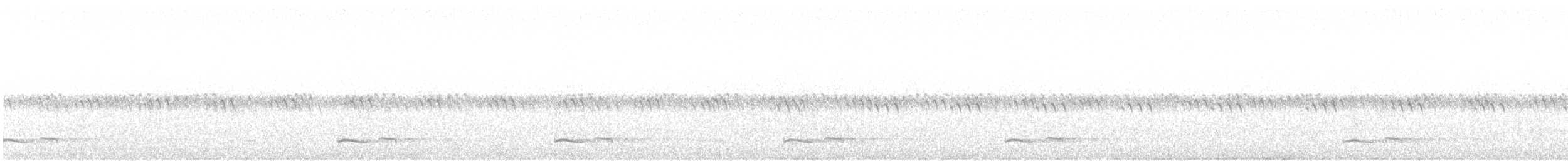 Winternachtschwalbe - ML620054995