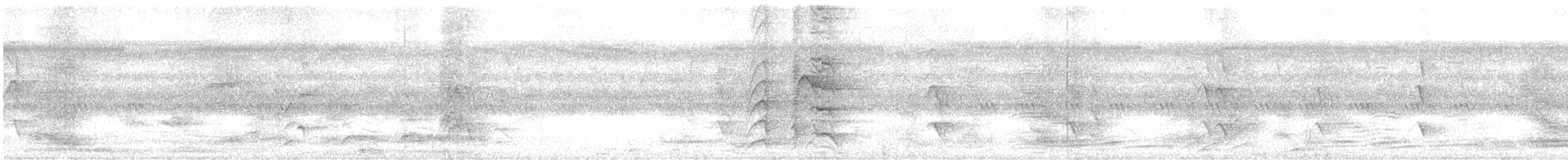 Malabar Parakeet - ML620056025