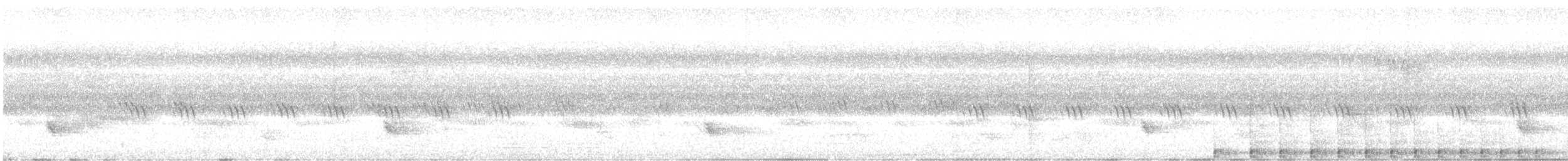 White-bellied Woodpecker - ML620056071