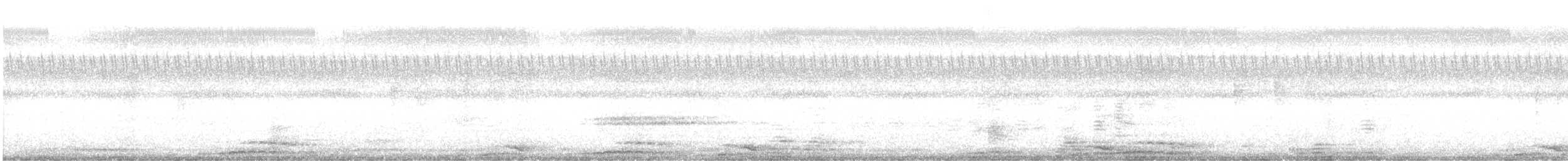 Cárabo Ocelado - ML620056132