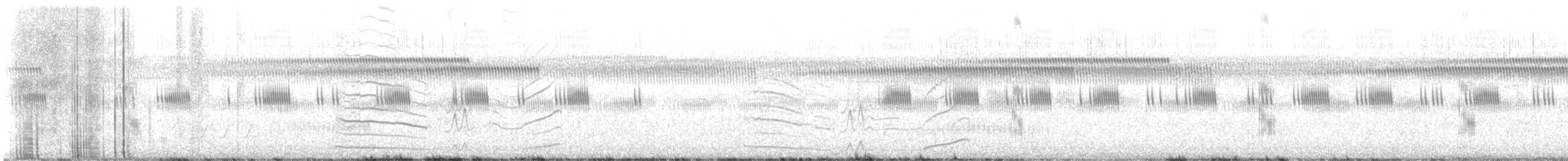 Weißbart-Seeschwalbe - ML620056261