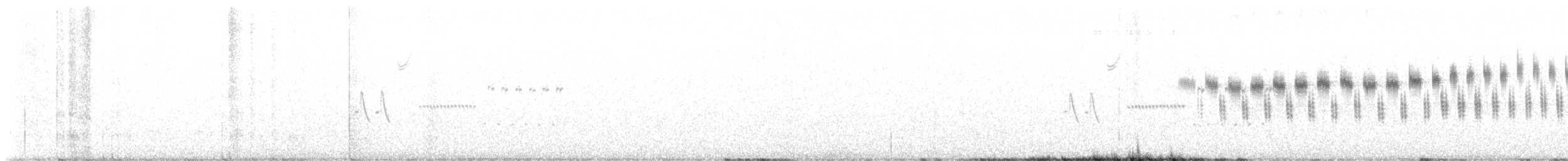 Карнатка лучна - ML620056971