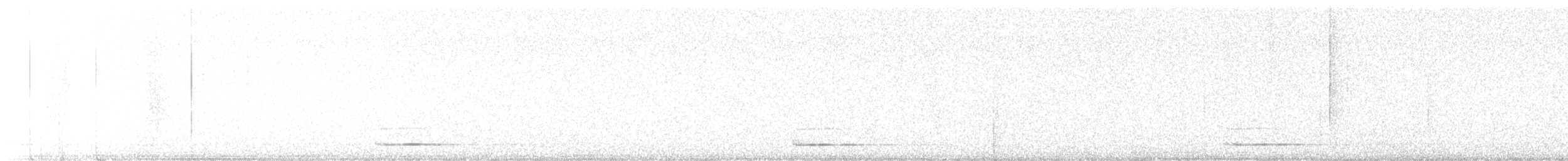 dverghornugle - ML620057814