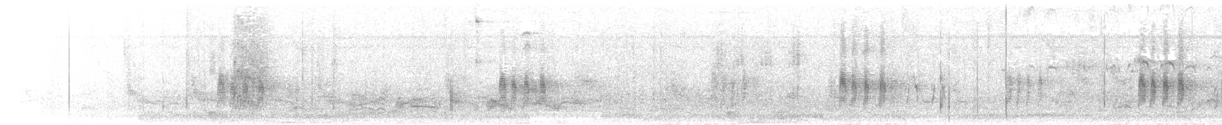 Antillennachtschwalbe - ML620058813