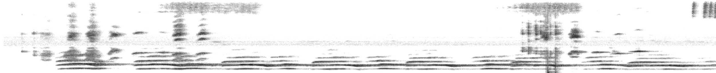 páv korunkatý - ML620059156