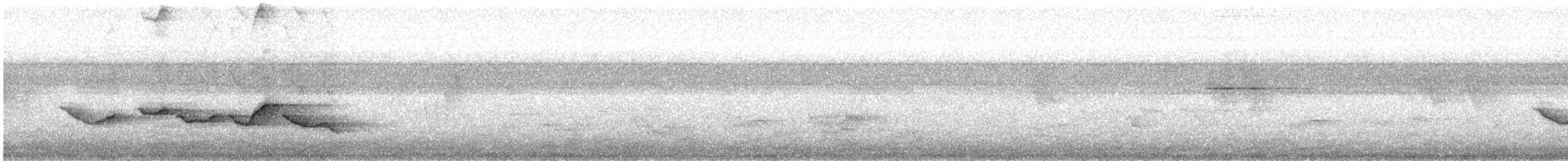 gråkronefulvetta - ML620059665