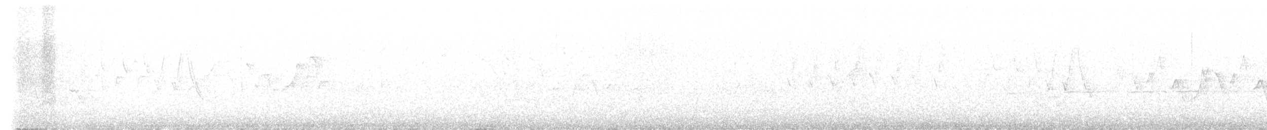 tyranovec vrbový - ML620059990
