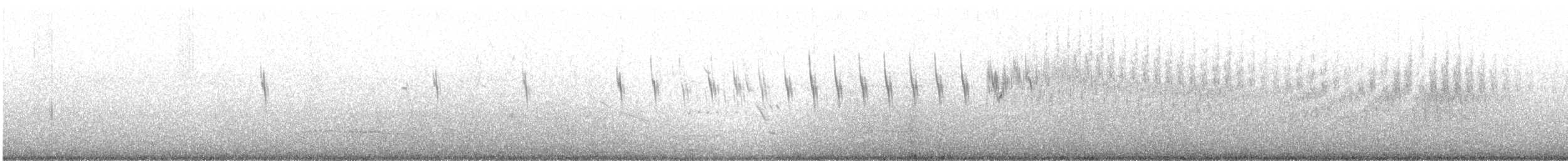 Pipit du Pérou - ML620059998