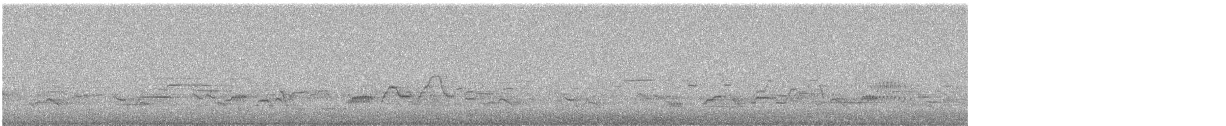 Дрізд-короткодзьоб Cвенсона - ML620060190
