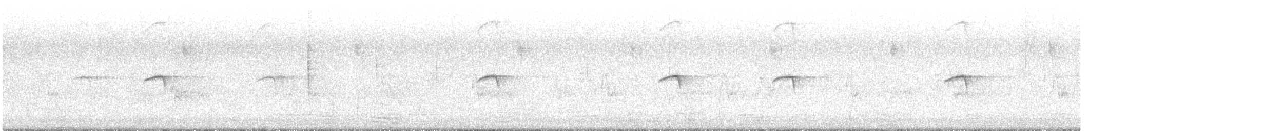 lejsek bělokrký - ML620060619