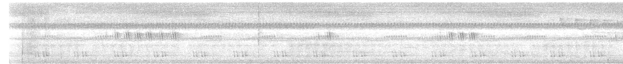 Kara Kulaklı Barbet - ML620060804