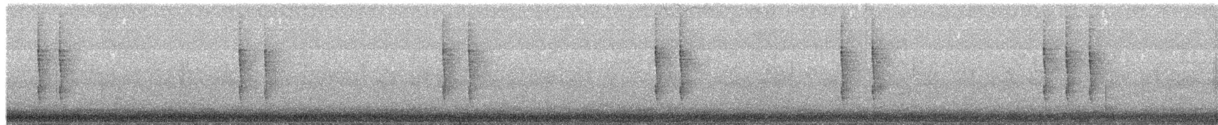 Troglodyte de Baird - ML620060893