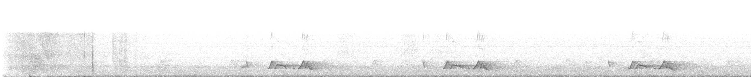 Carolinanachtschwalbe - ML620061892