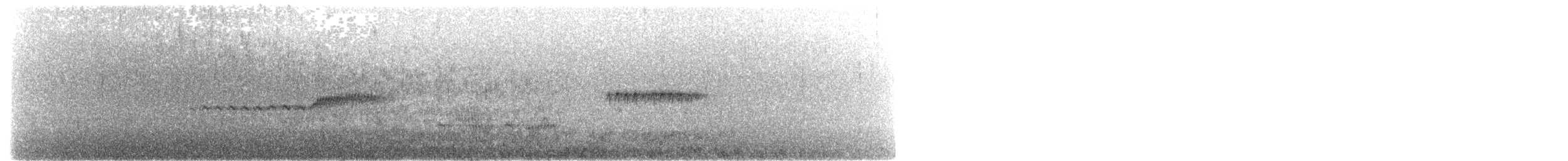 Mirlo Acuático Norteamericano - ML620062033