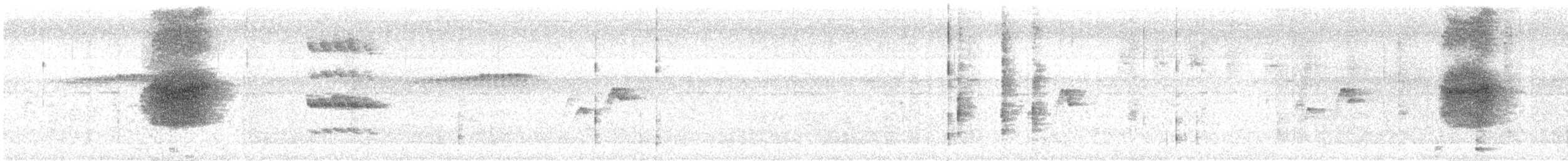 白斑紫嘯鶇 - ML620062109