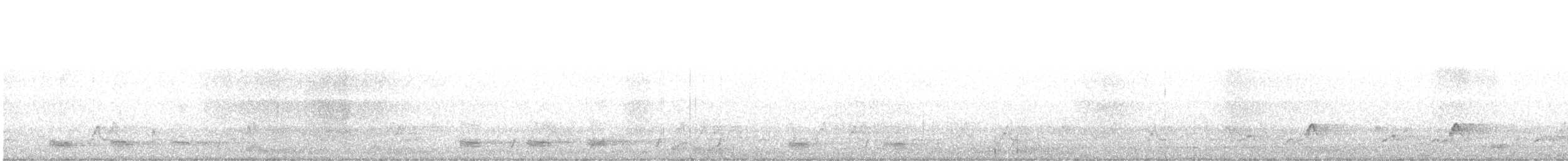 Carolinanachtschwalbe - ML620062217