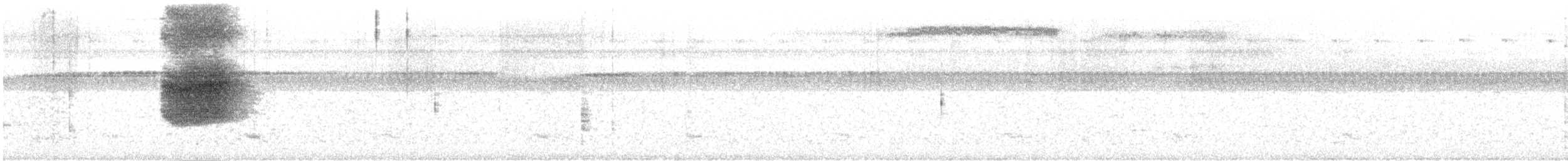 Arrenga siffleur - ML620062589