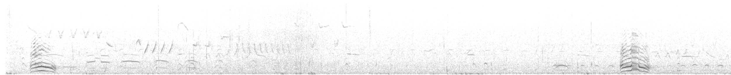クロワカモメ - ML620063381