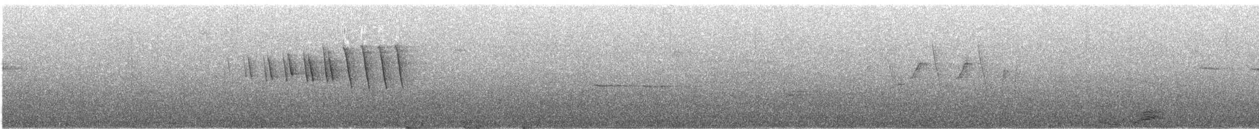 Болотянка мала (підвид chryseola) - ML62006371