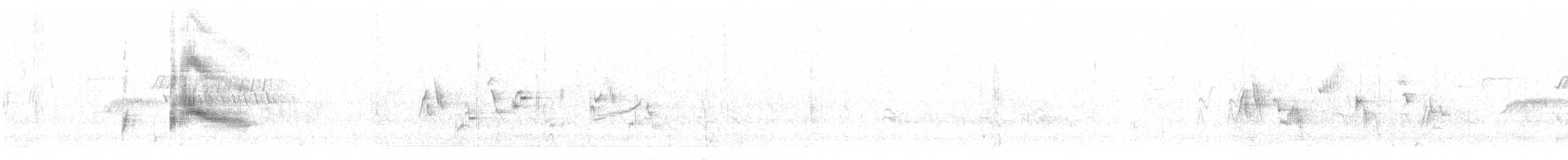 Тиран товстодзьобий - ML620064069