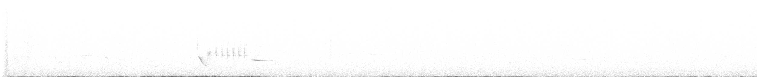 Тауї плямистий [група maculatus] - ML620064369