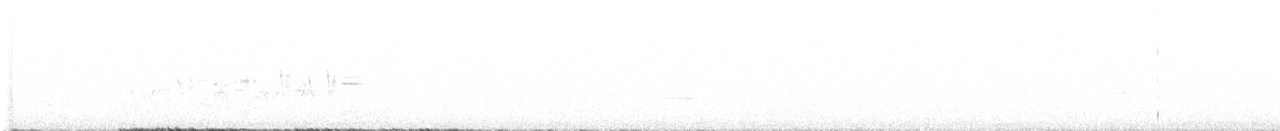 Дрізд-короткодзьоб плямистоволий [група auduboni] - ML620064393