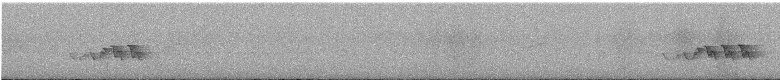 Чернітка білокрила - ML620065060