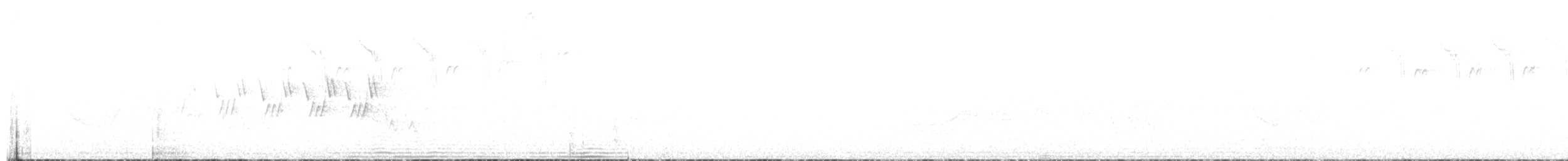 svartbrystparula - ML620065811