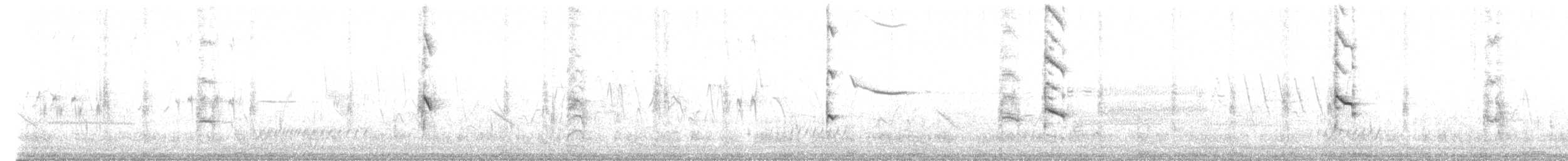 chřástal virginský (ssp. limicola/friedmanni) - ML620067076