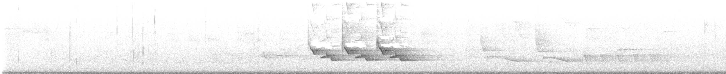 střízlík karolínský - ML620069183
