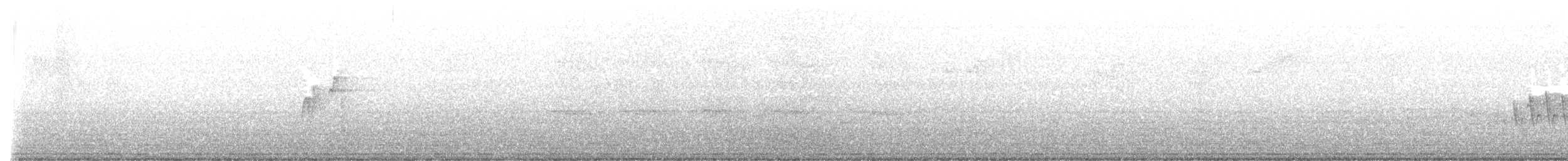 חטפית ירקרקה - ML620069640