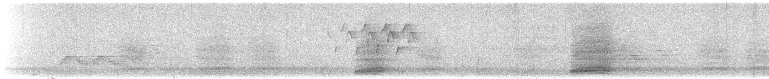 Дрізд-короткодзьоб Cвенсона - ML620070434