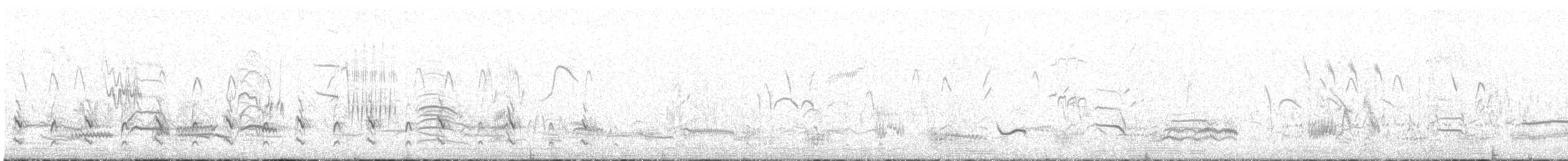 חרטומית ביצות - ML620070807