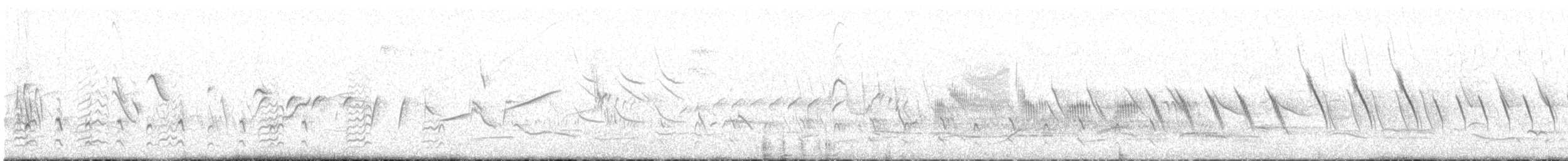 חרטומית ביצות - ML620070817