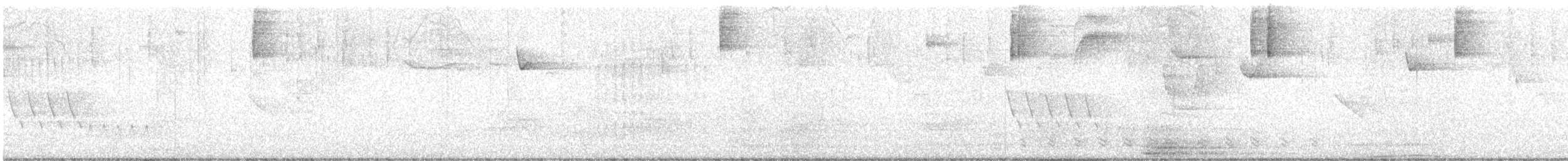 holub pruhoocasý - ML620071259