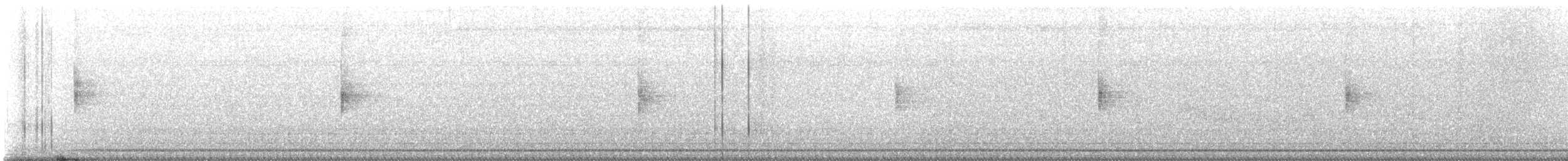 strømparula - ML620071864