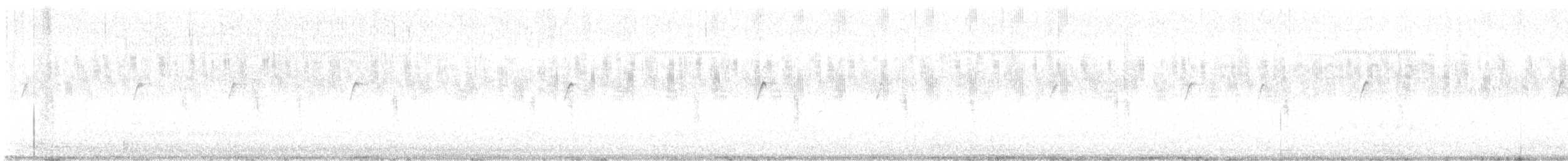 דוחל שחור-גרון - ML620071898