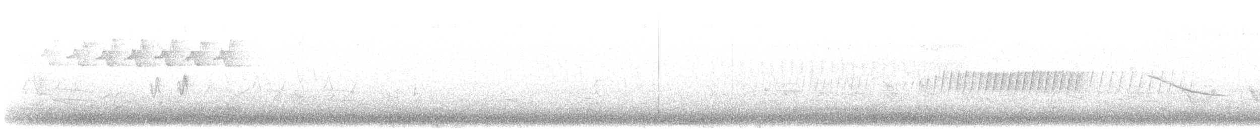 Чечевиця кармінова (підвид purpureus) - ML620073282