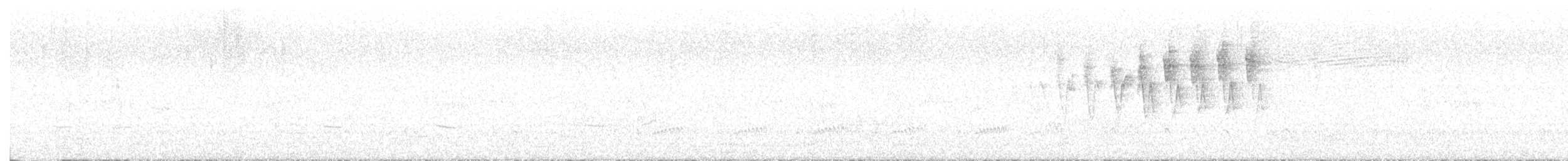 Paruline à calotte noire - ML620073290