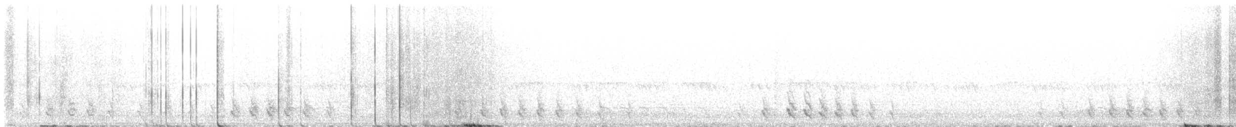Chevêchette des saguaros - ML620074932