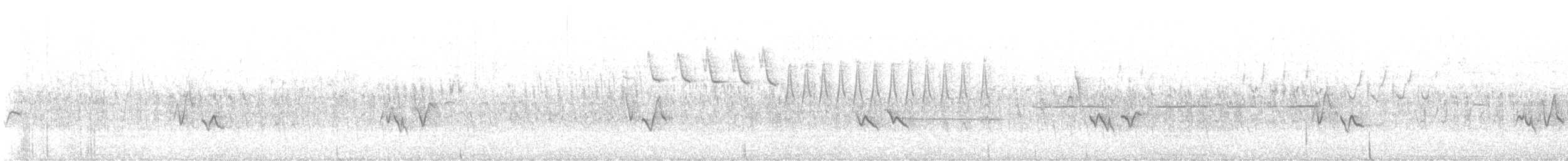 křivka bělokřídlá - ML620076009