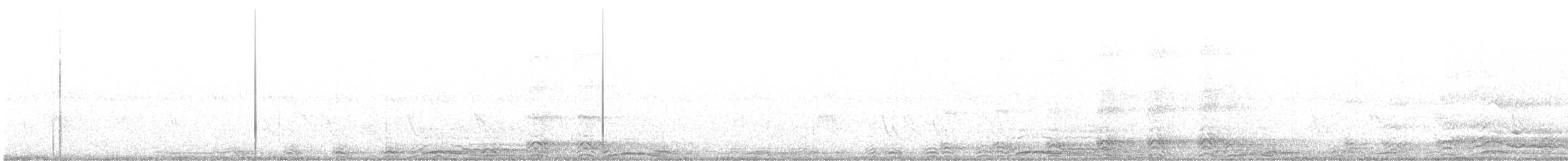 Chouette rayée - ML620076291