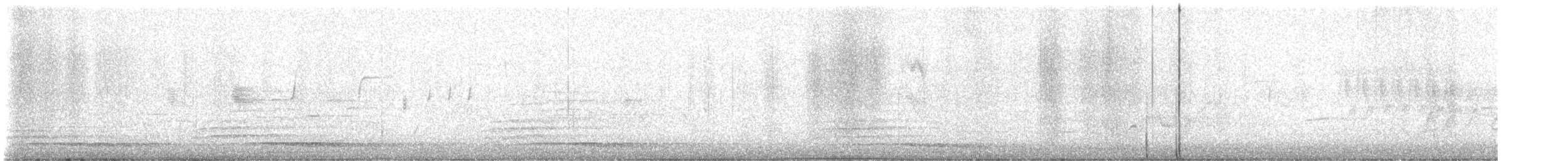 páv korunkatý - ML620076762