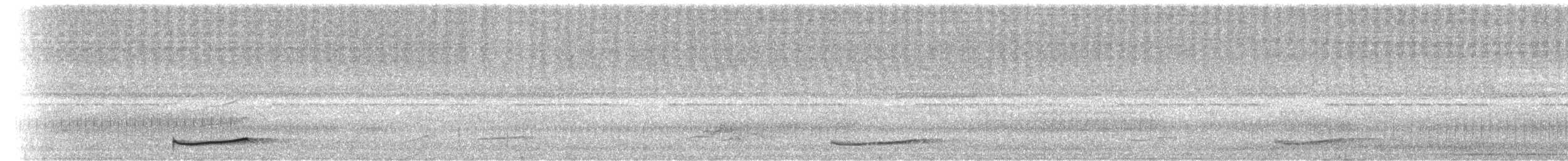 Bändernachtschwalbe [semitorquatus-Gruppe] - ML620077246