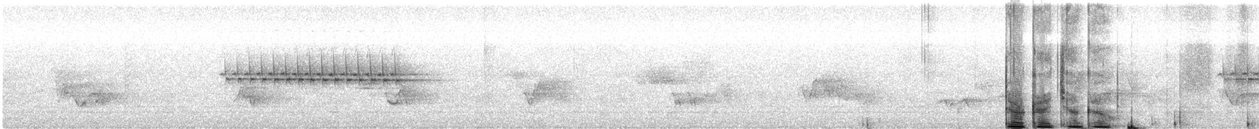 Юнко сірий - ML620078524